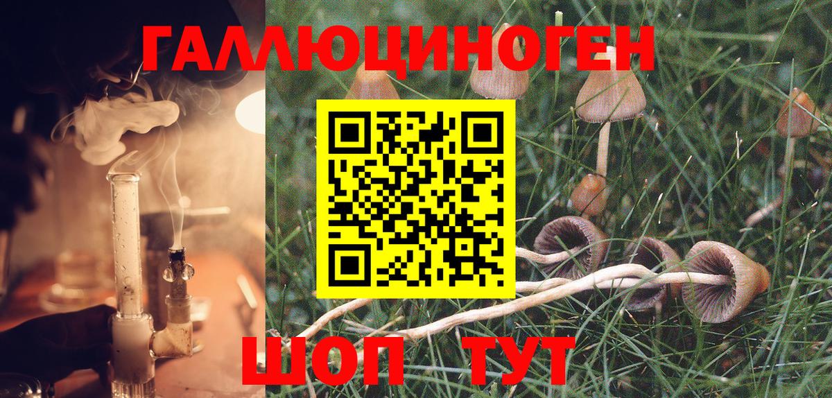 Псилоцибиновые грибы Magic Shrooms Соль-Илецк