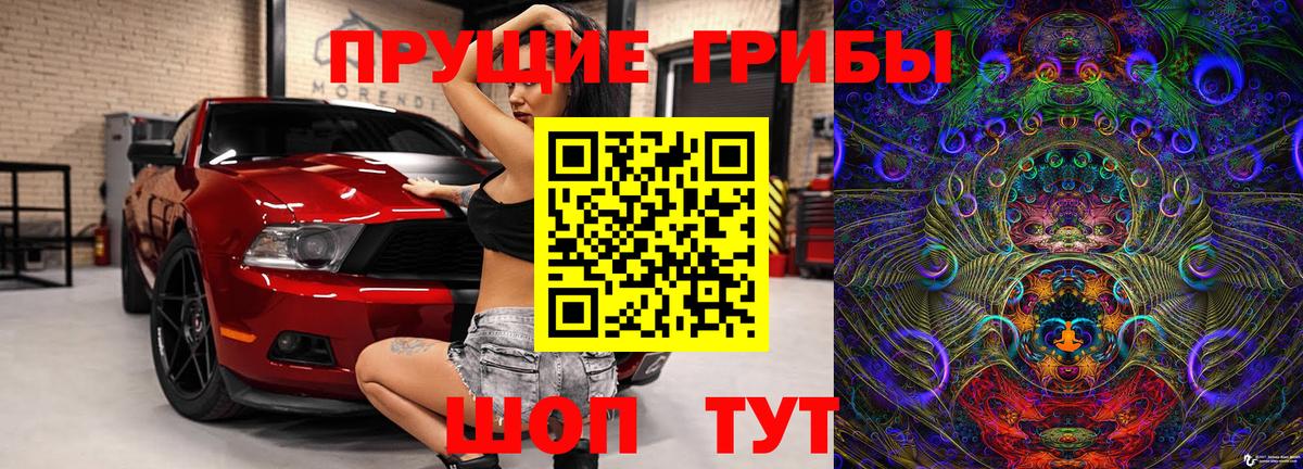 Псилоцибиновые грибы MAGIC MUSHROOMS  где можно купить наркотик  Вход с VPN  Соль-Илецк  Псилоцибиновые грибы мухоморы 